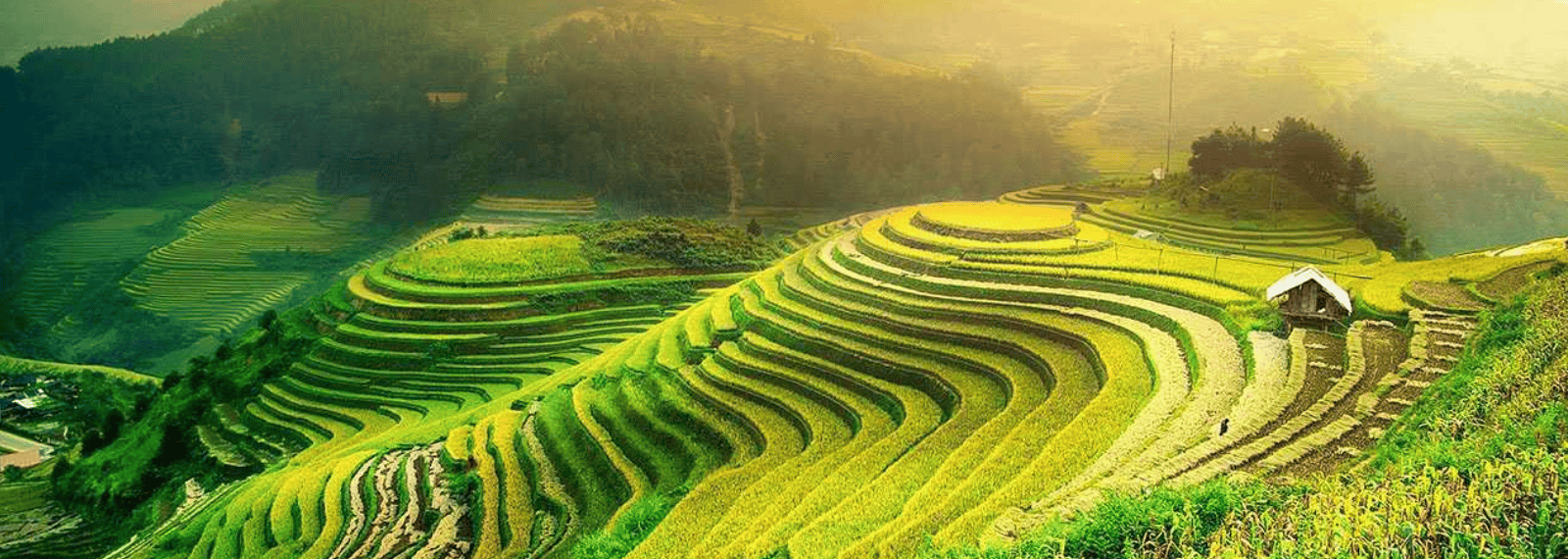 Vue panoramique d'une vallée verdoyante et d'un village ethnique niché entre les hautes montagnes de Ha Giang