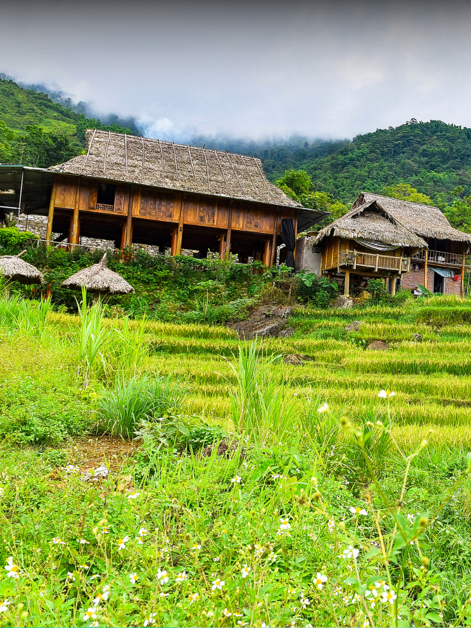 La Citadelle de la Dynastie Ho, un site du patrimoine mondial de l'UNESCO avec ses portes en pierre monumentales à Thanh Hoa