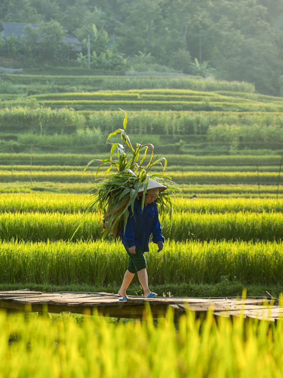 Ban Don – le cœur de Pu Luong
