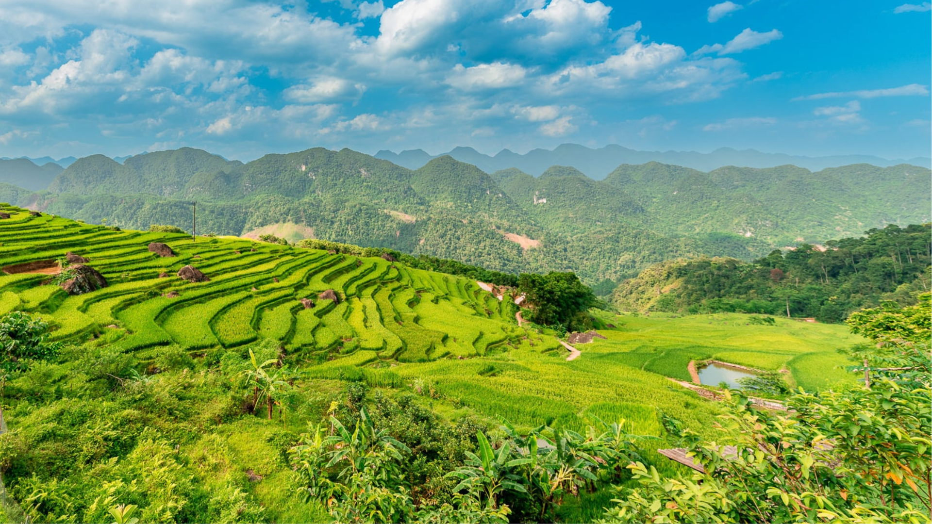 La majestueuse cascade des Éléphants cachée dans la forêt tropicale luxuriante de Thanh Hoa