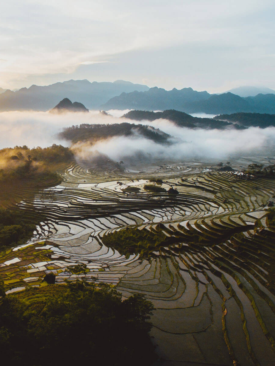 Le ruisseau aux poissons sacrés de Cam Luong à Thanh Hoa, où des milliers de carpes nagent dans une eau cristalline