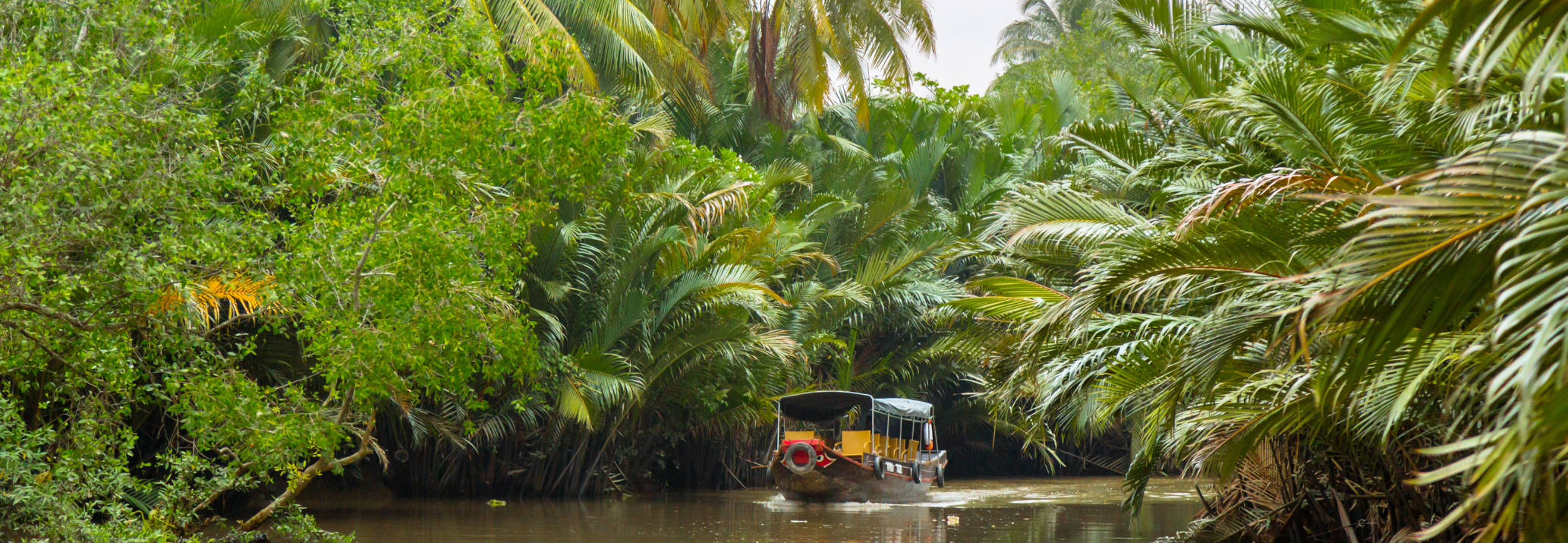 Un bateau de croisière touristique naviguant sur une rivière paisible bordée de cocotiers luxuriants à Ben Tre